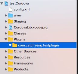 基于Cordova開(kāi)發(fā)iOS應(yīng)用 插件開(kāi)發(fā)與應(yīng)用軟件構(gòu)建全攻略
