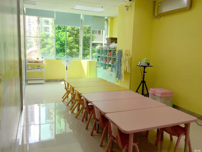 廣州童檸樹教育 專業信息咨詢，點亮成長之路